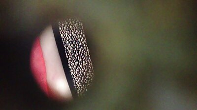 গানে গানে চুদাচুদি